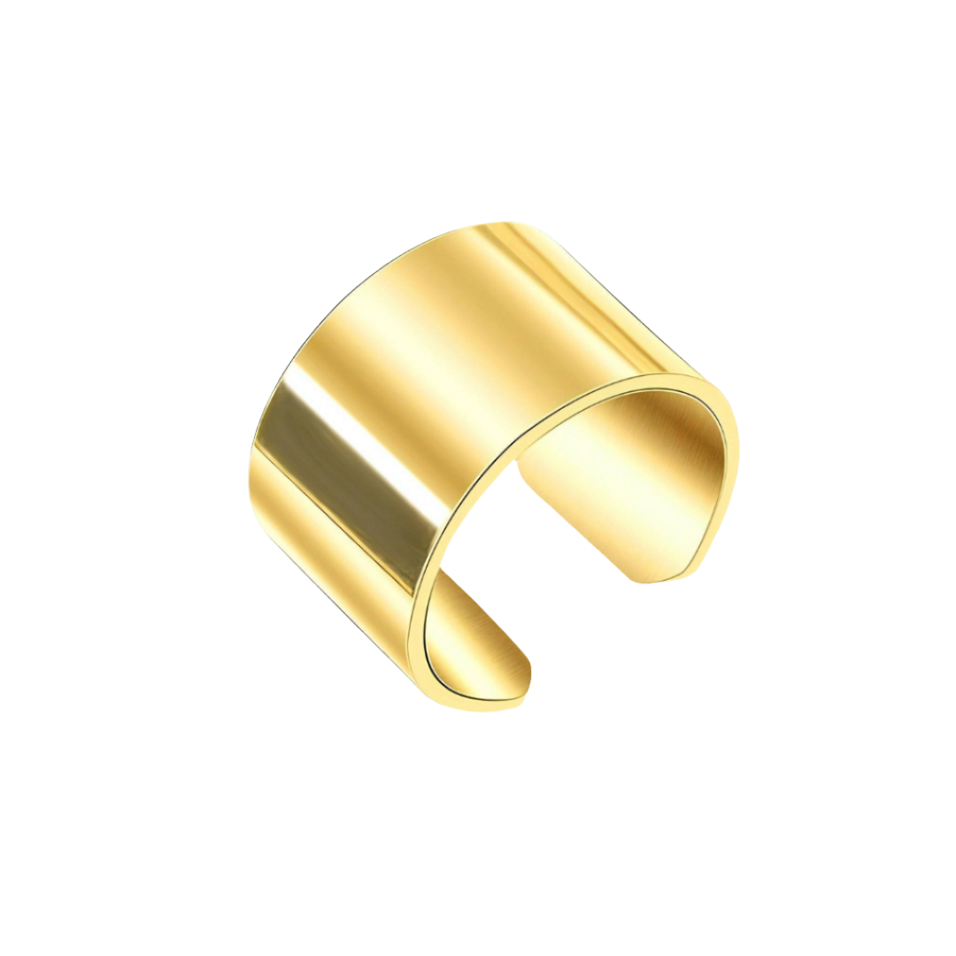 Tendencia 18K Gold Plated Stainless Steel Ring